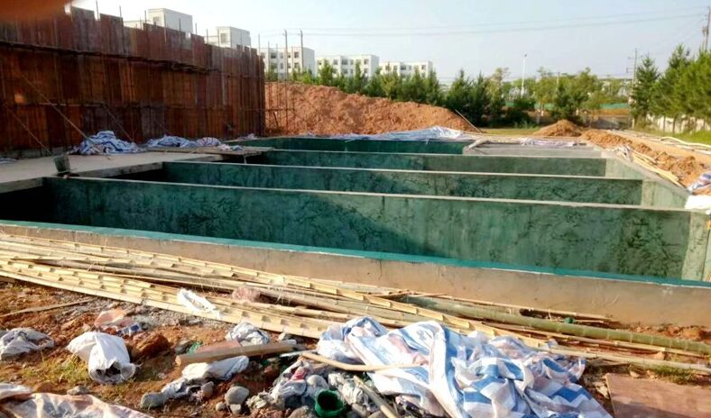 ����䓷���ʩ���|(zh��)���z��(bi��o)��(zh��n)